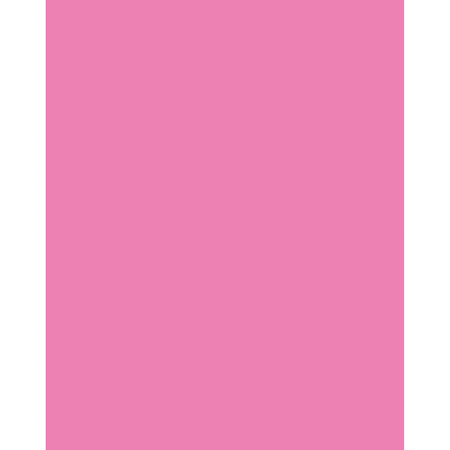 Ucreate Neon Coated Poster Board, Neon Pink, 22in x 28in, PK25 P5407-1